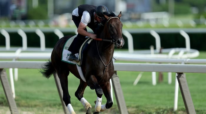 Jun 7, 2022; Elmont, NY, USA; We the People works out on the main track at Belmont Park.